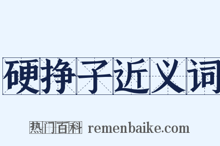硬挣子近义词是什么意思的图片